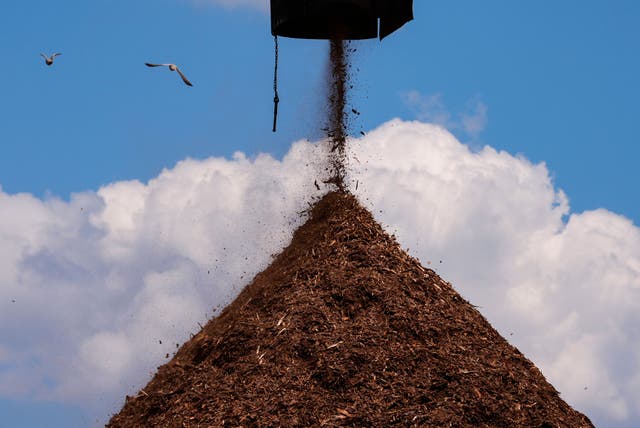 Biomass Boom Environmental Justice