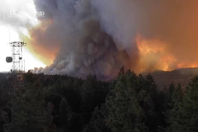 <p>The Park Fire has engulfed 164,000 acres in 36 hours. It’s thought that a fire tornado emerged from the plumes this week</p>