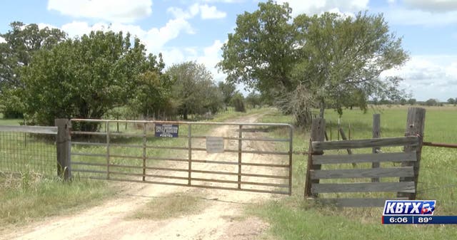 <p>Bryce Smith, 75, died after being stung to death by bees at his home in Bedias </p>