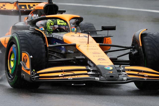 Lando Norris qualified fifth for Sunday’s Belgian Grand Prix (Geert Vanden Wijngaert/AP)