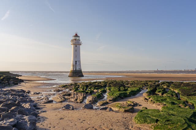 <p>New Brighton, a truly underrated seaside haunt </p>