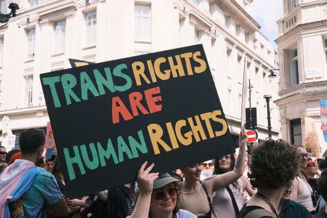 <p>‘Trans rights are human rights’ sign at the London Trans Pride march on Saturday 27th July</p>