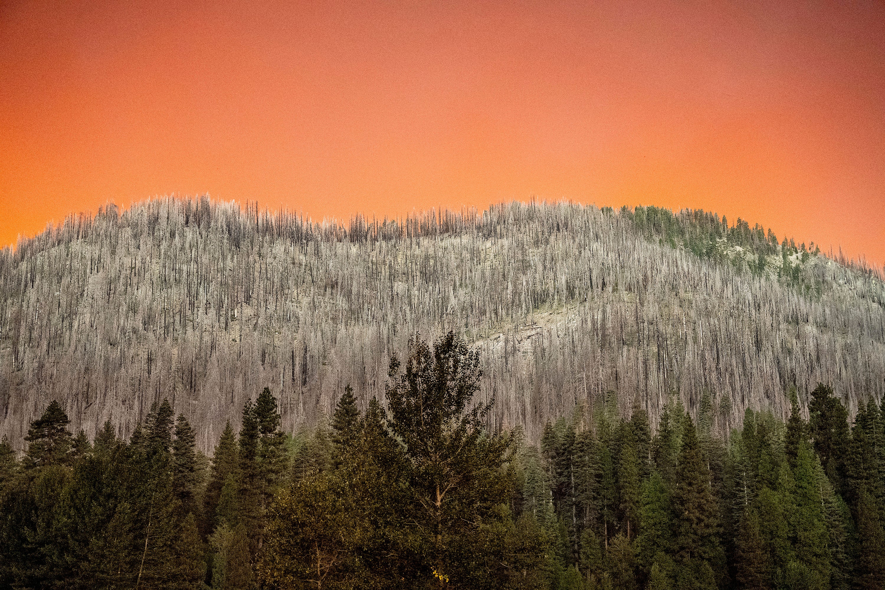 Smoke from the Park Fire casts an orange glow above a hillside burned in a previous wildfire in Tehama County, California