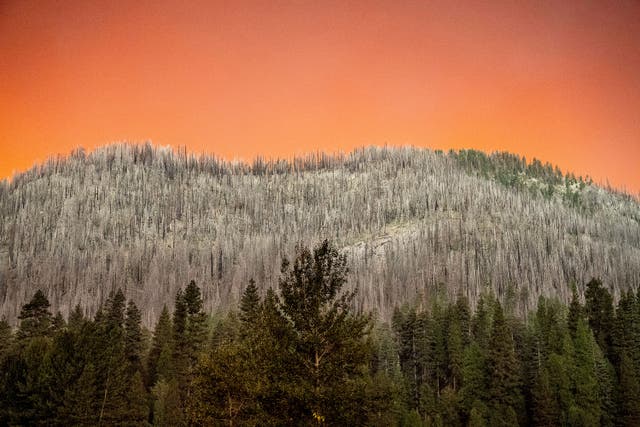 <p>Smoke from the Park Fire casts an orange glow above a hillside burned in a previous wildfire in Tehama County, California </p>