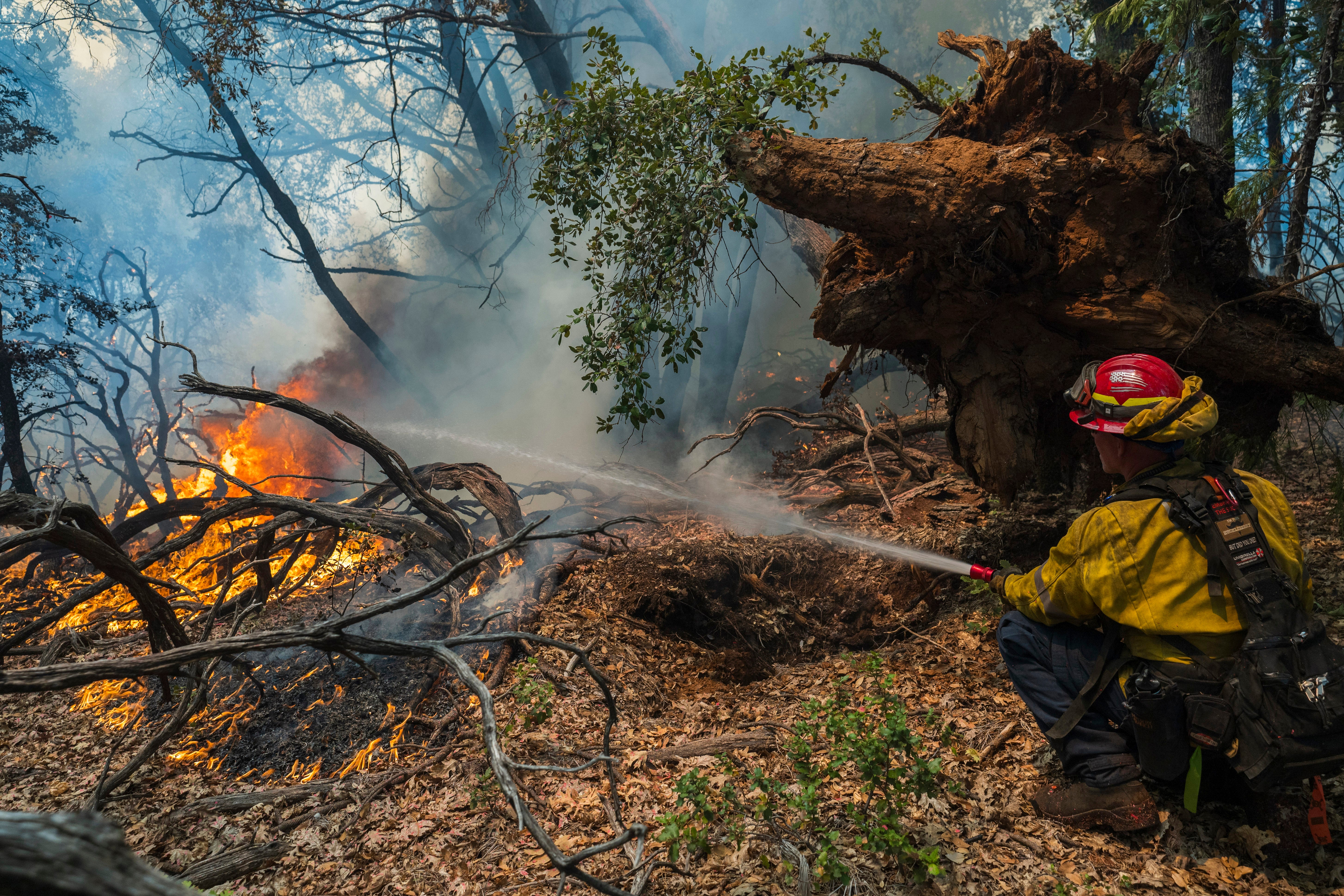 California Wildfires