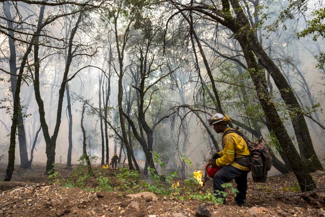 California Wildfires