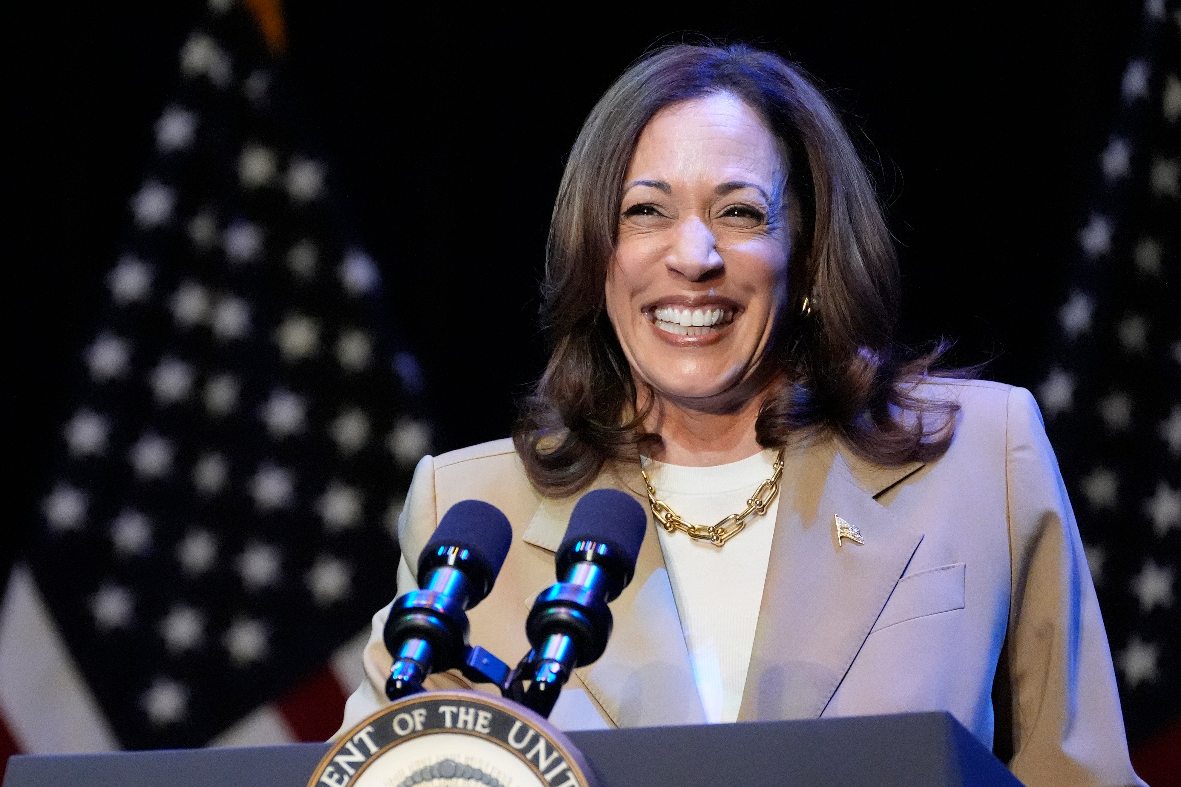 Almost 200,000 people tuned in to the Zoom call on Monday evening in support for Kamala Harris’ presidential bid