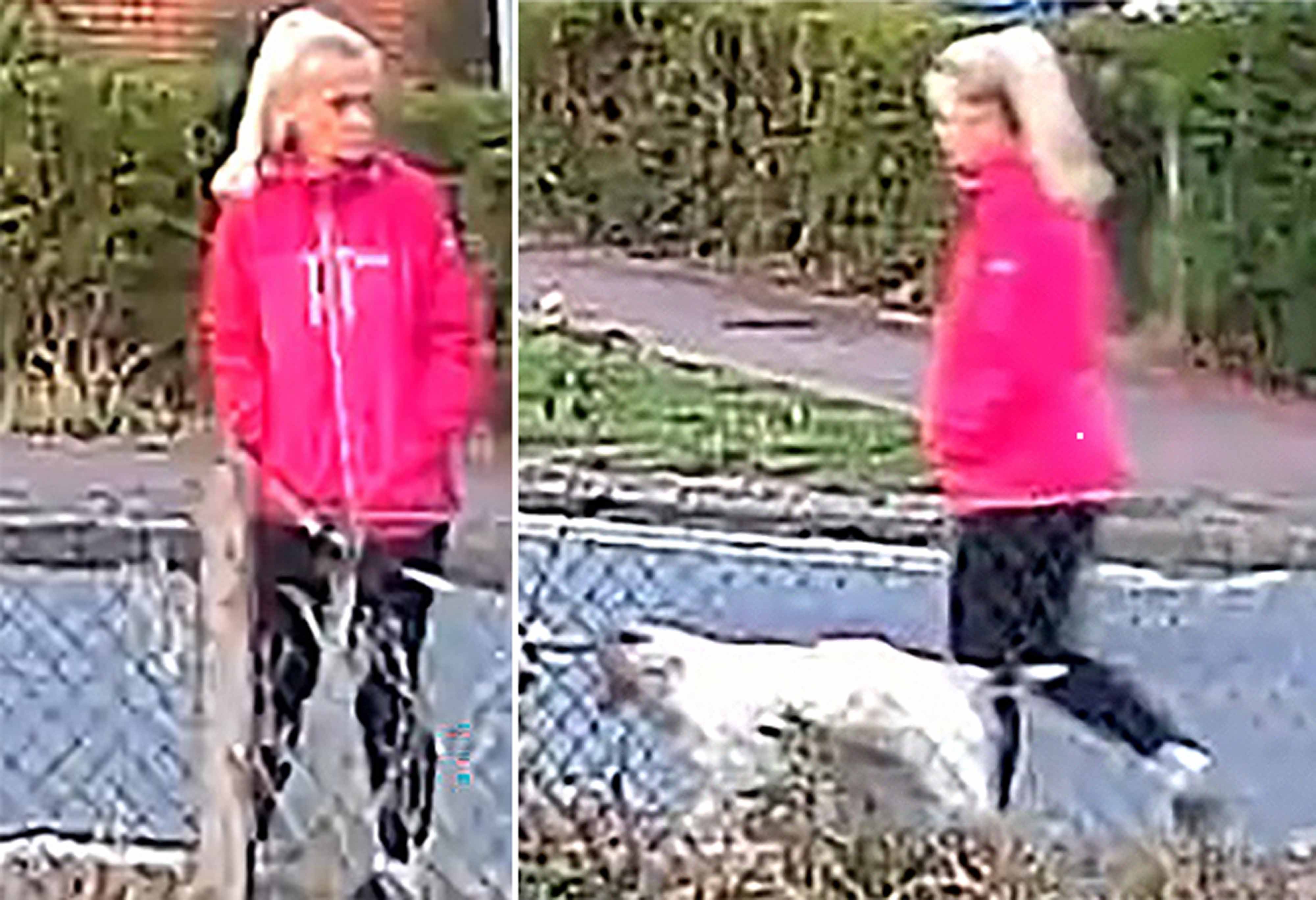 Handout CCTV images issued by Suffolk Police show Anita Rose on a walk with her dog prior to a suspected attack