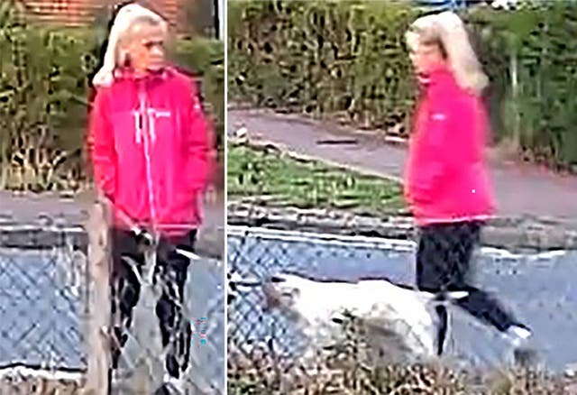 <p>Handout CCTV images issued by Suffolk Police show Anita Rose on a walk with her dog prior to a suspected attack </p>