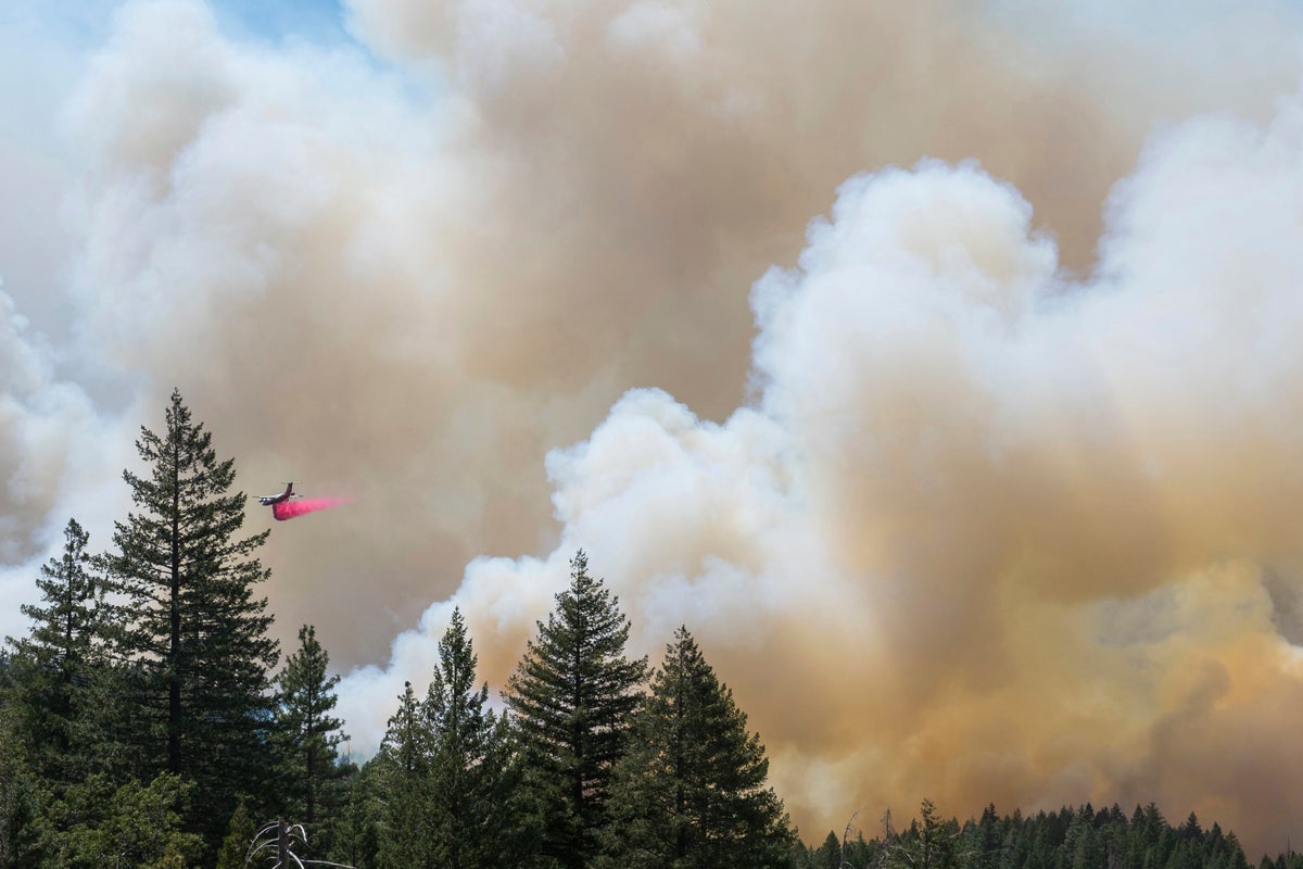 Wildfire smoke may be worse for your brain than other…