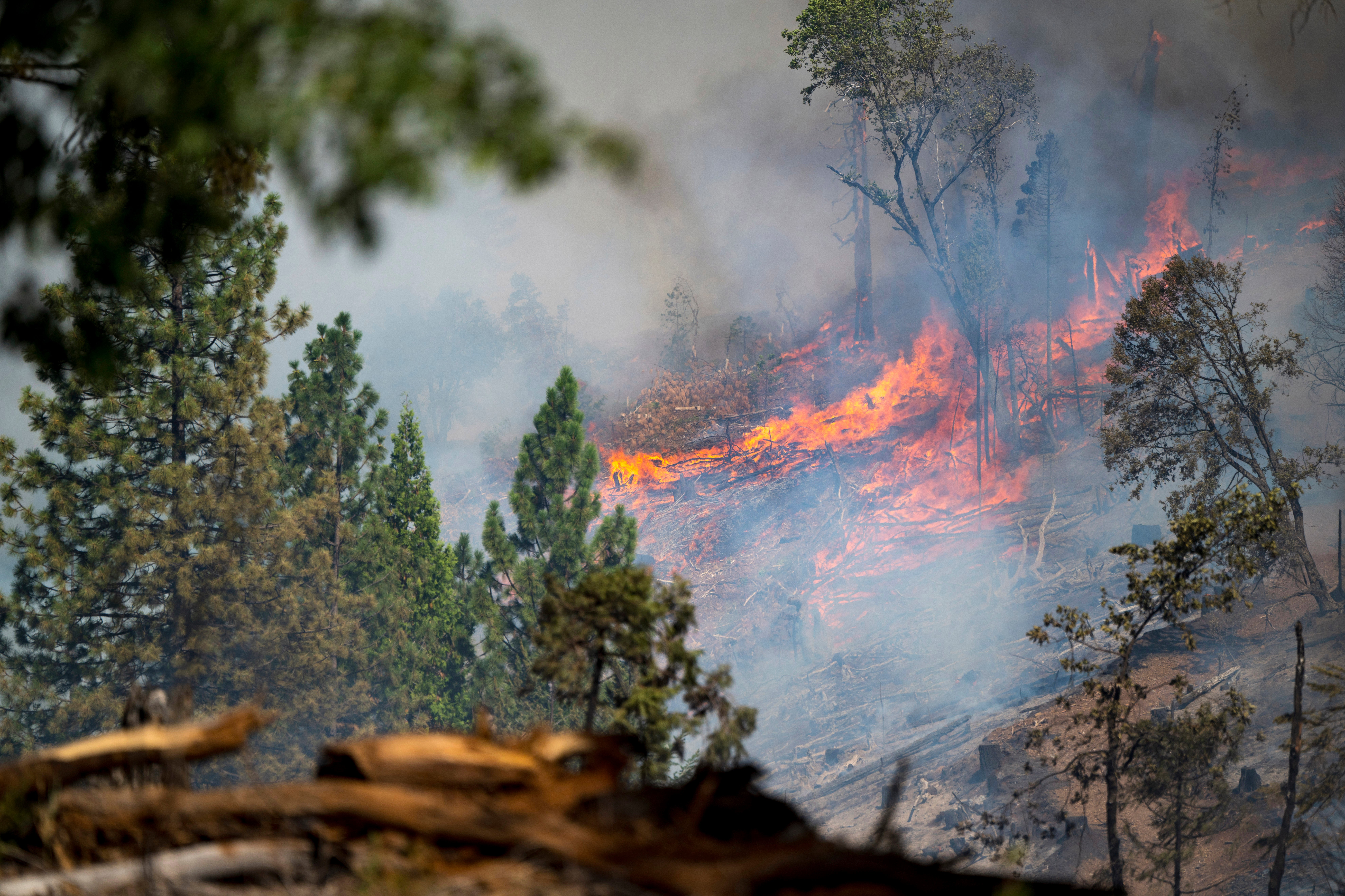 <p>The Park Fire burns along Highway 32 near Forest Ranch, Calif., Sunday, July 28, 2024. </p>
