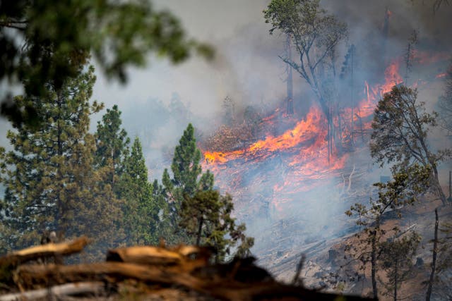 <p>The Park Fire burns along Highway 32 near Forest Ranch, Calif., Sunday, July 28, 2024. </p>