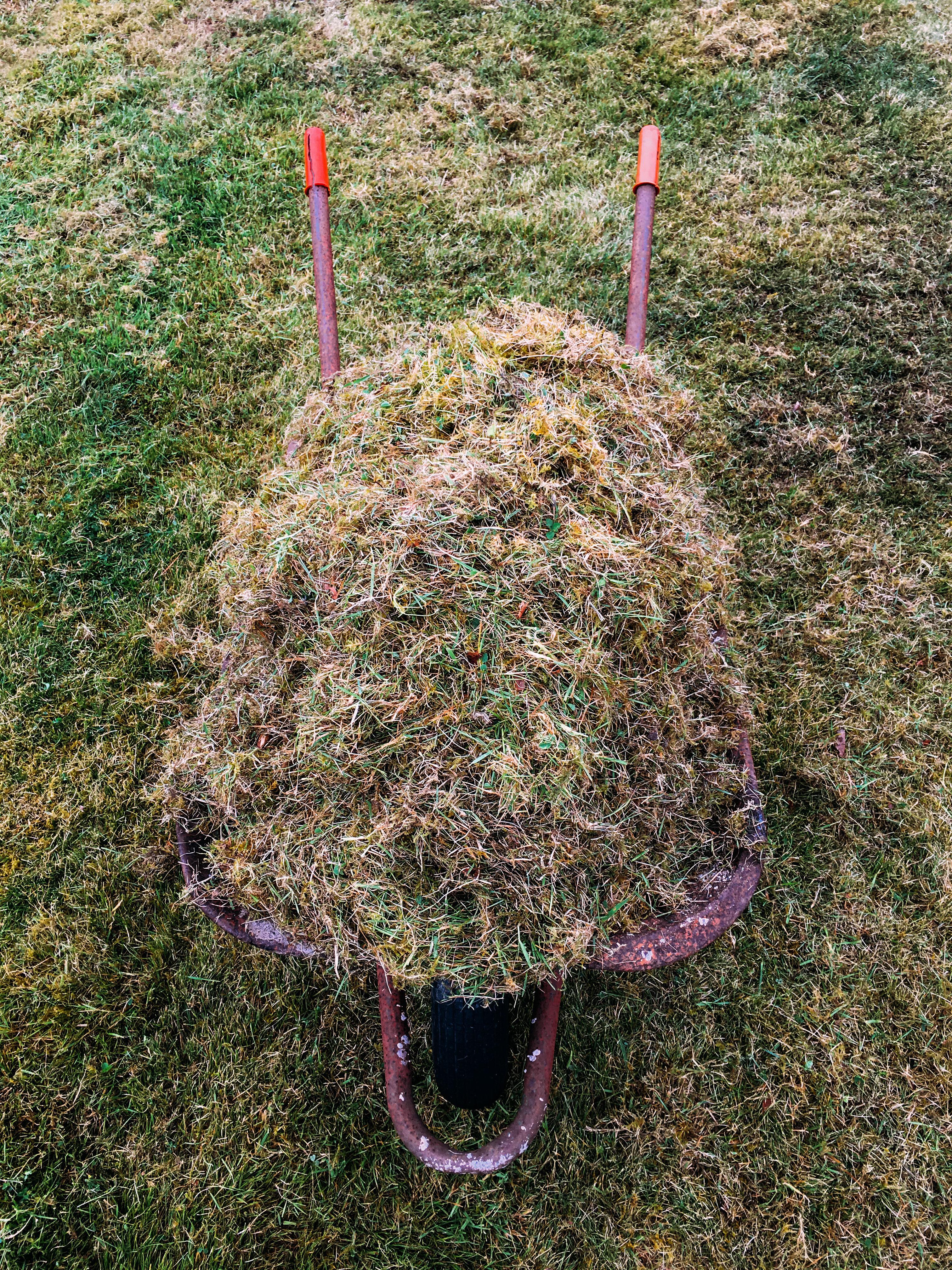 Lawn thatch can be a problem (Alamy/PA)