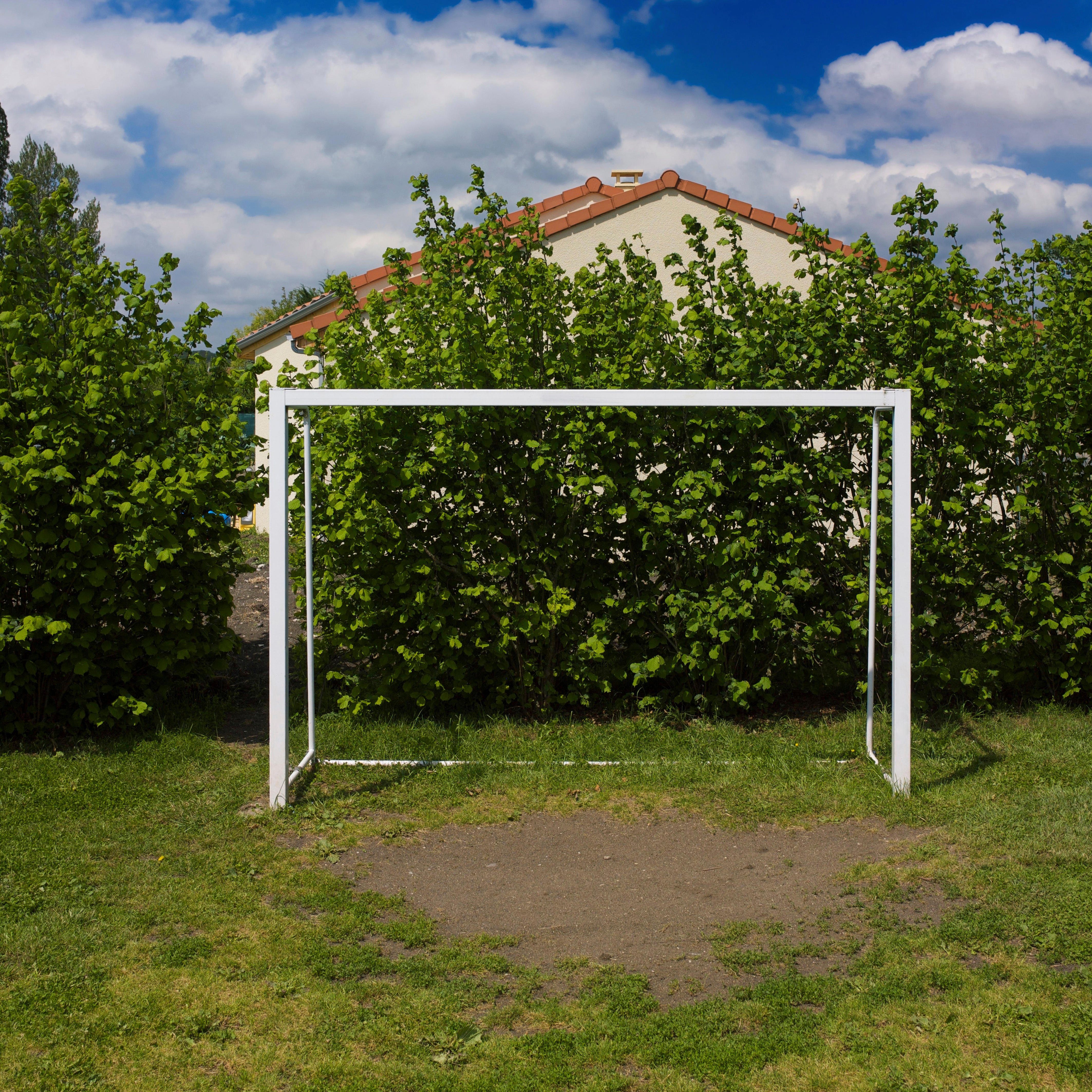 Move goals to minimise lawn damage (Alamy/PA)