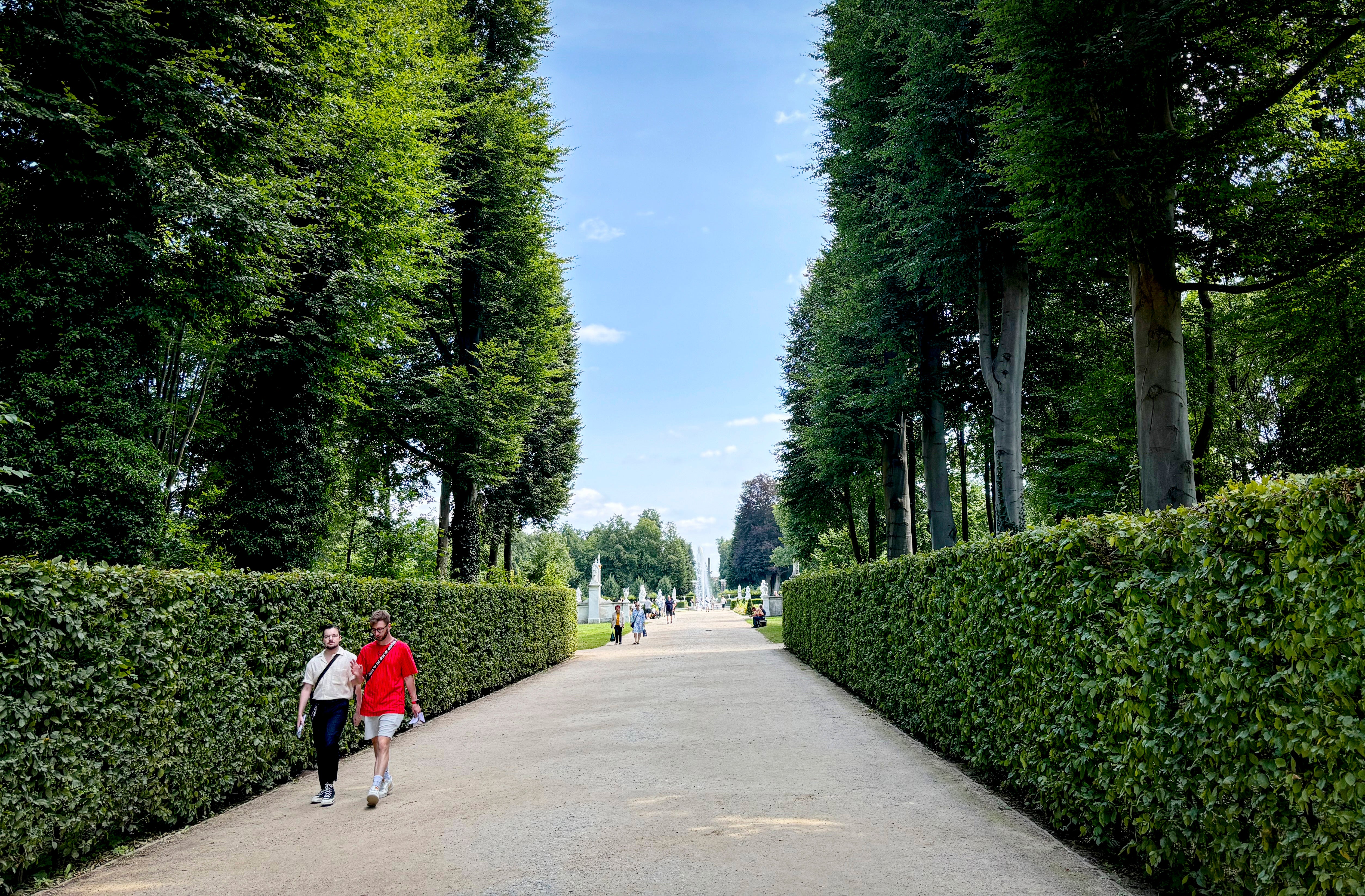 Climate Germany Sanssouci Trees