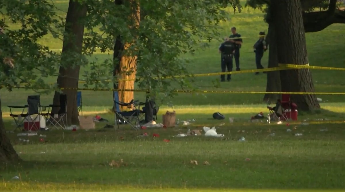 Mass shooting leaves one dead and six injured in New York park as cops launch hunt for gunmen