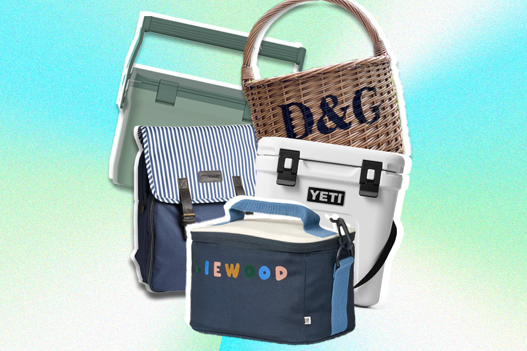 Best cool bags and ice boxes 2024 The Independent