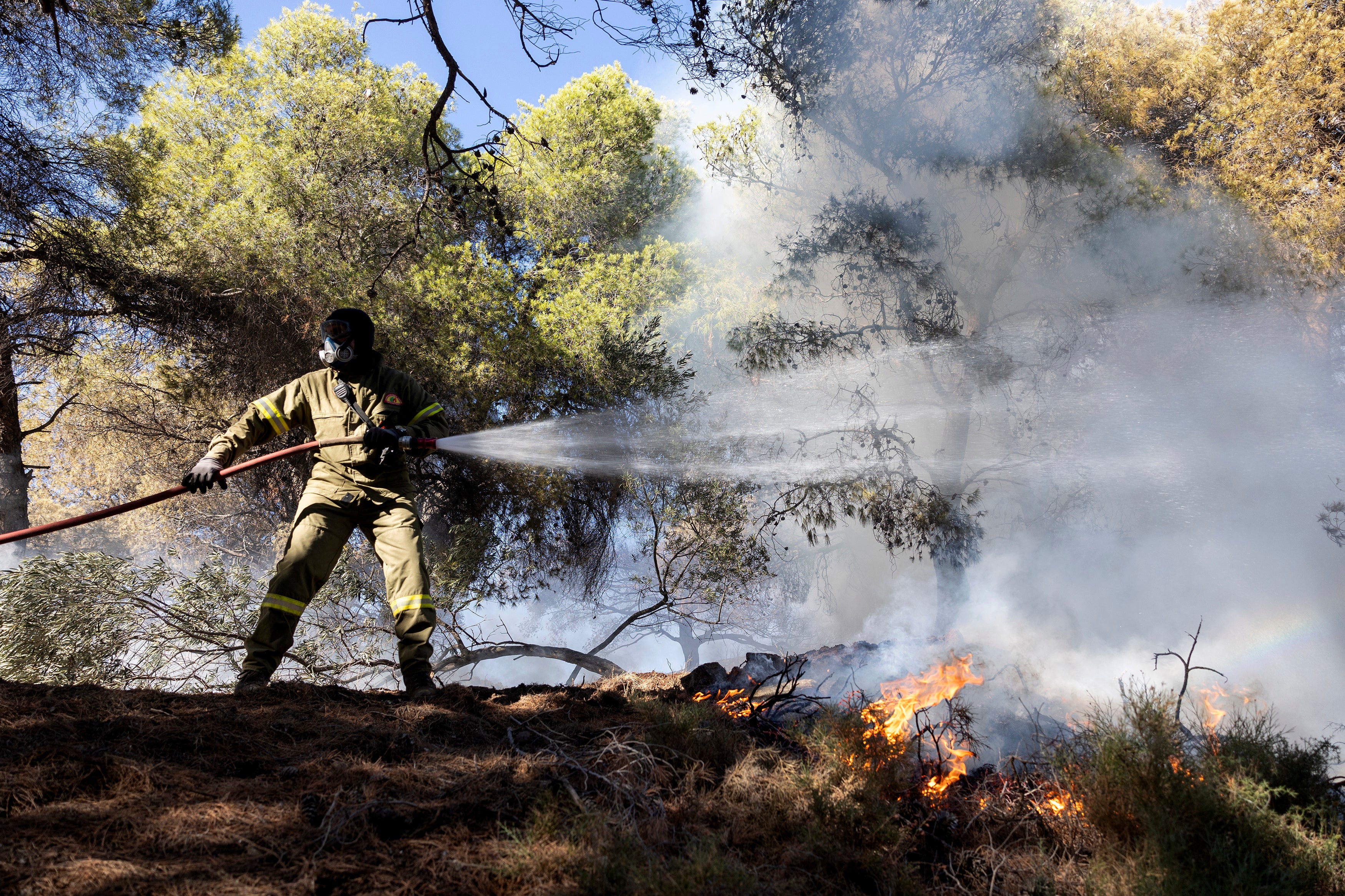 A firefighter struggles to extinguish a forest fire at Keratea area, southeast of Athens, Greece, Sunday, June 30