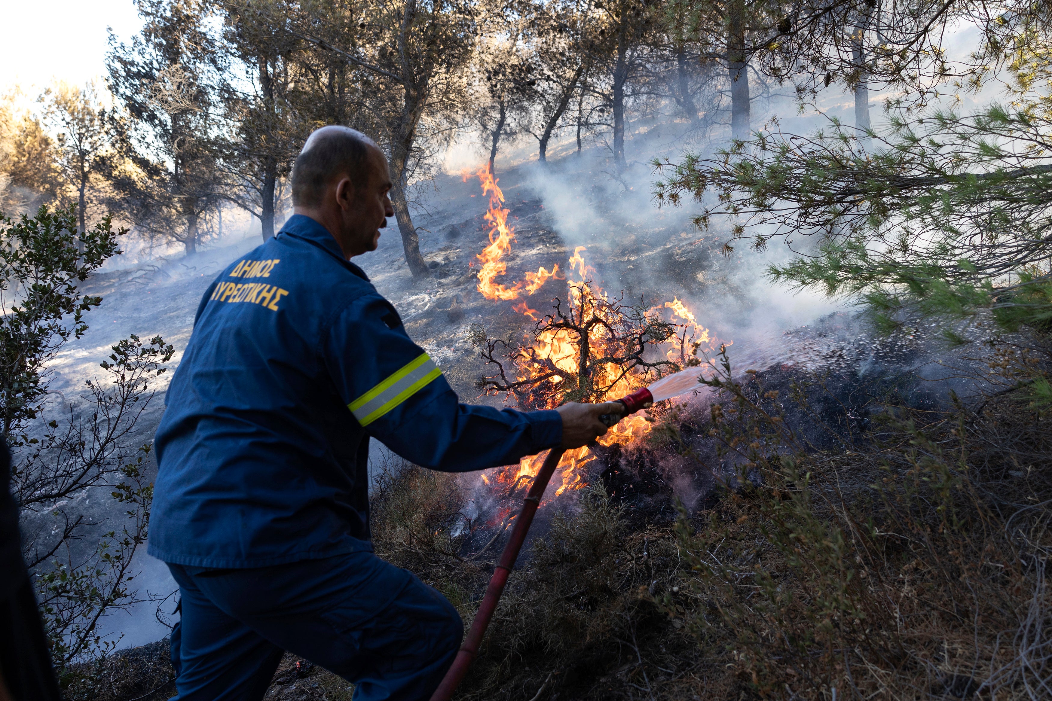 Greece Wildfire