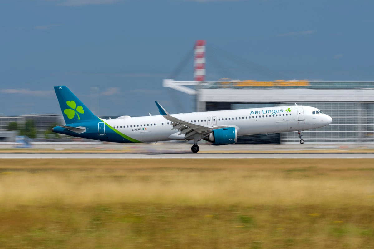 Aer Lingus flight forced to make emergency landing in France after couple’s mid-air brawl