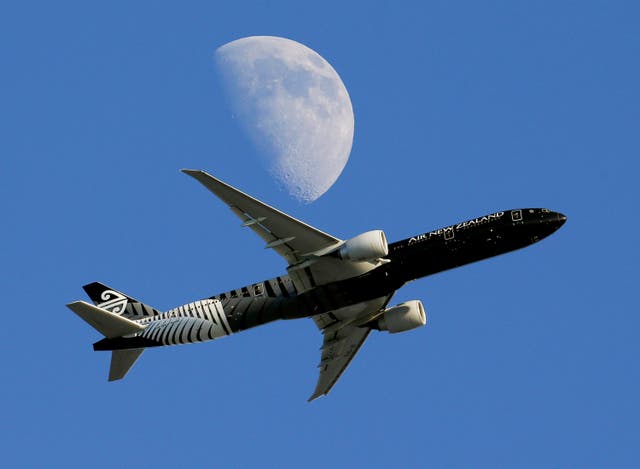 <p>New Zealand Air NZ Carbon</p>