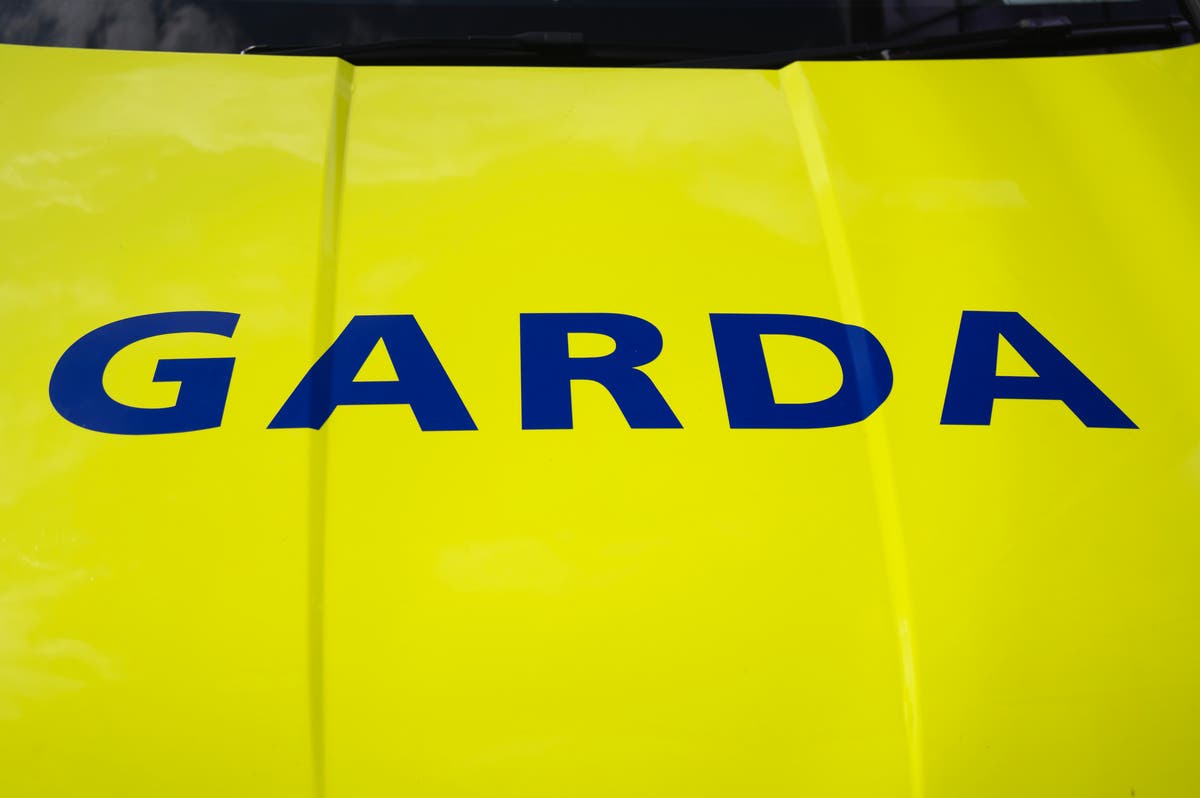 Westmeath helicopter crash: Emergency services at the scene in Ireland