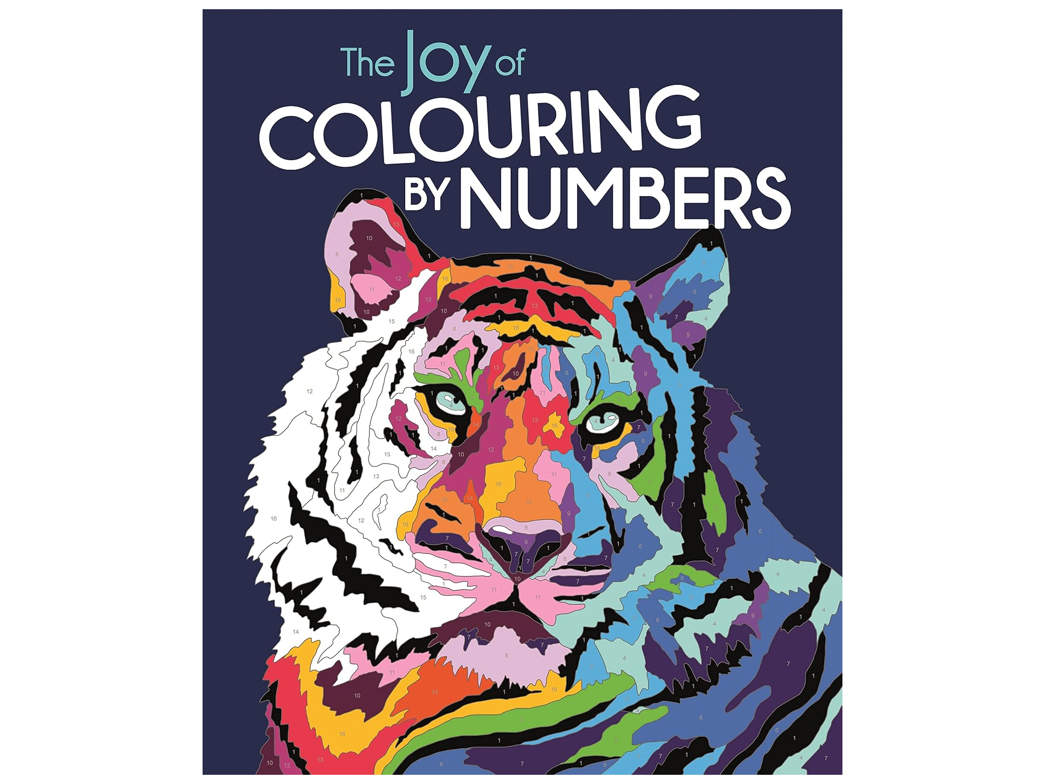 The-joy-of-colouring-by-numbers-best-colouring-books-for-kids-review-indybest