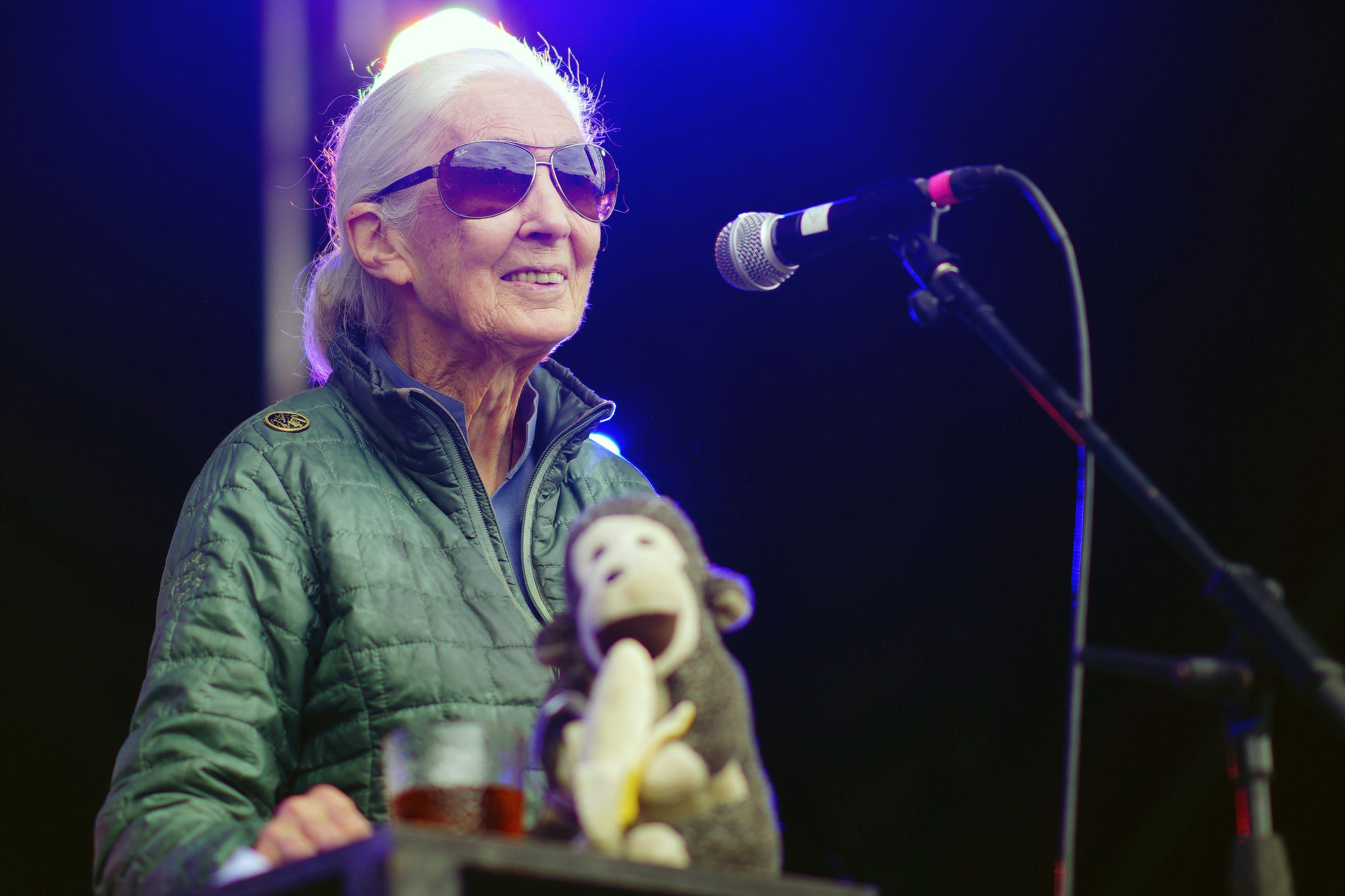 Dr Jane Goodall on the Greenpeace stage during the Glastonbury Festival (Ben Birchall/PA)