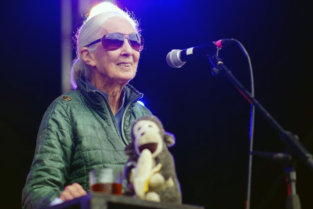 Dr Jane Goodall on the Greenpeace stage during the Glastonbury Festival (Ben Birchall/PA)