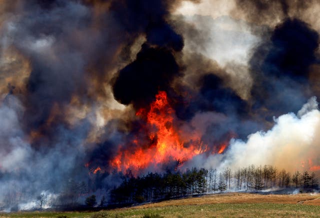 <p>A forest fire rages near Kumanovo, North Macedonia July 30, 2024</p>