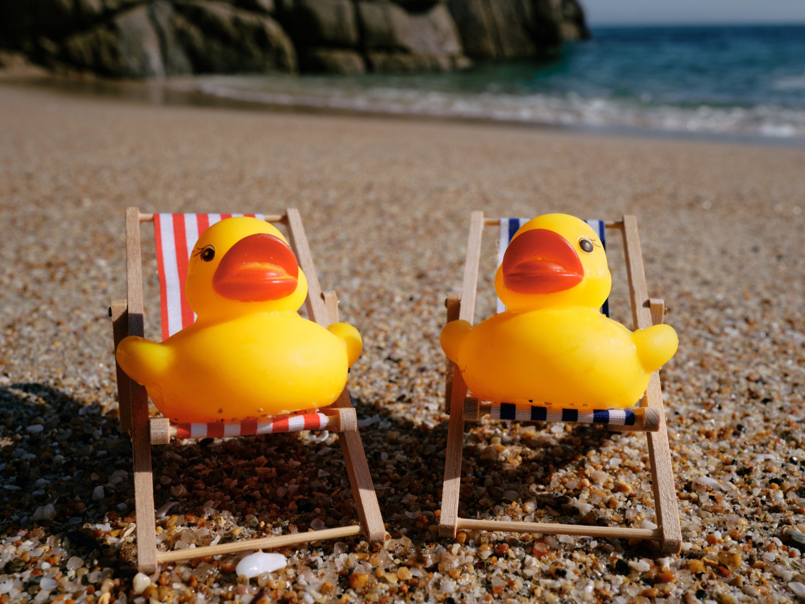 ‘Quackers’ hide rubber ducks all over cruise ships for fellow travelers to find