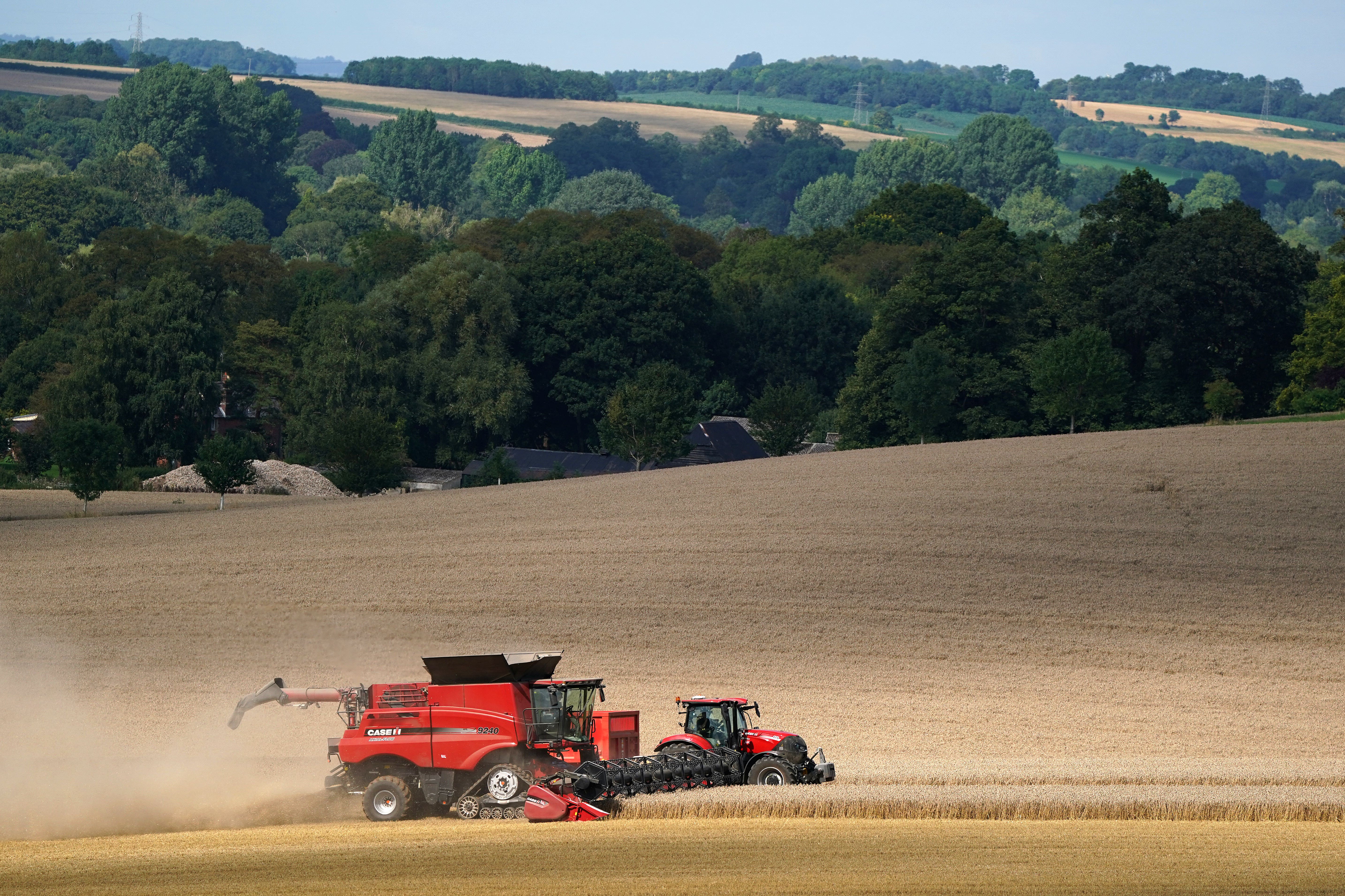 A tractor drives alongside a combine harvester as it unloads grain whilst harvesting a field near to Stockbridge in Hampshire (Andrew Matthews/PA)