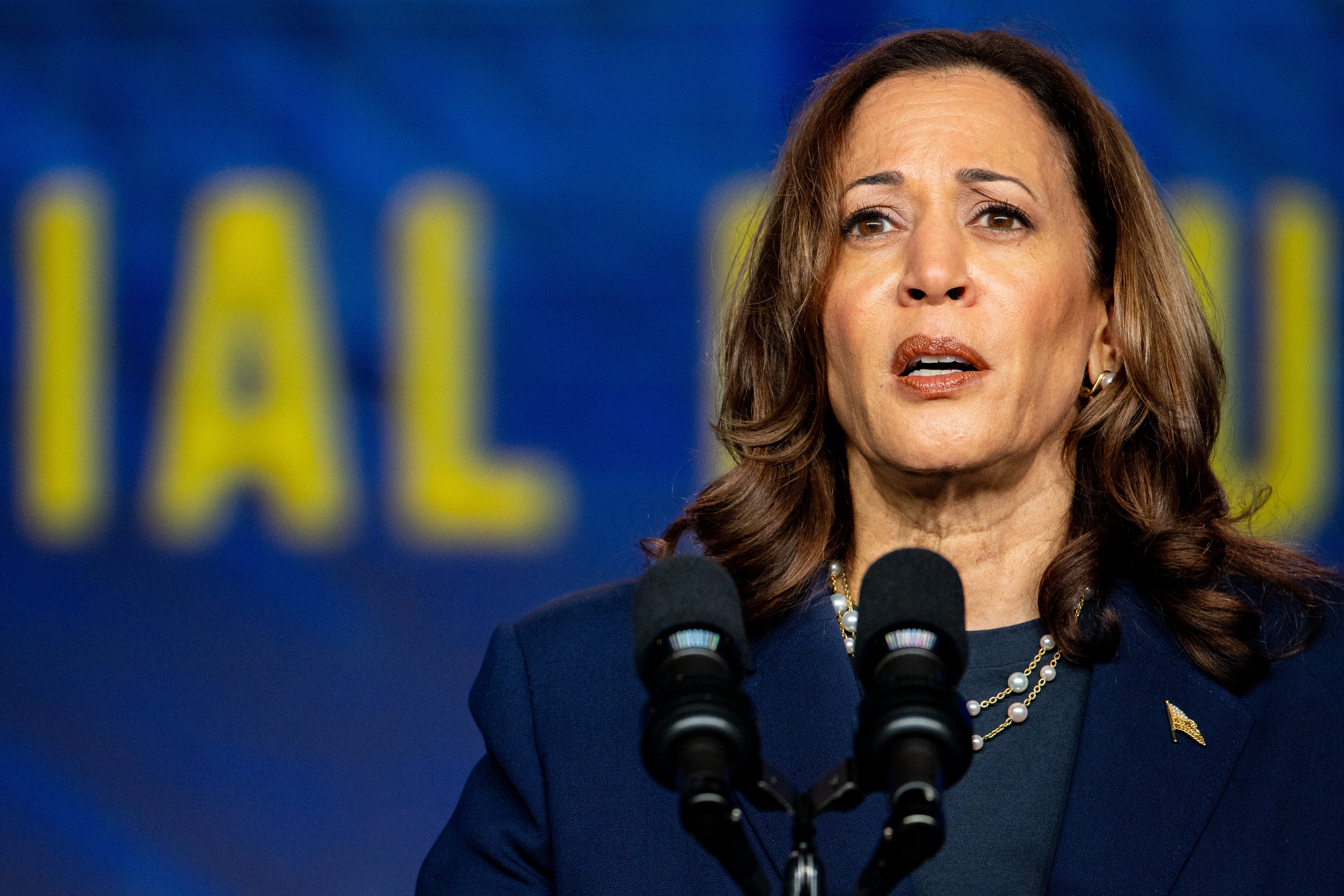 Wakil Presiden Kamala Harris menyampaikan pidato di Houston, Texas pada 31 Juli 2024