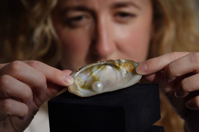 The pearl was found more than 60 years ago (Lyon and Turnbull/Stewart Attwood/PA)