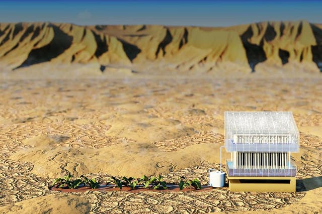 <p>A solar-powered water harvester than can generate up to three litres of water each day</p>