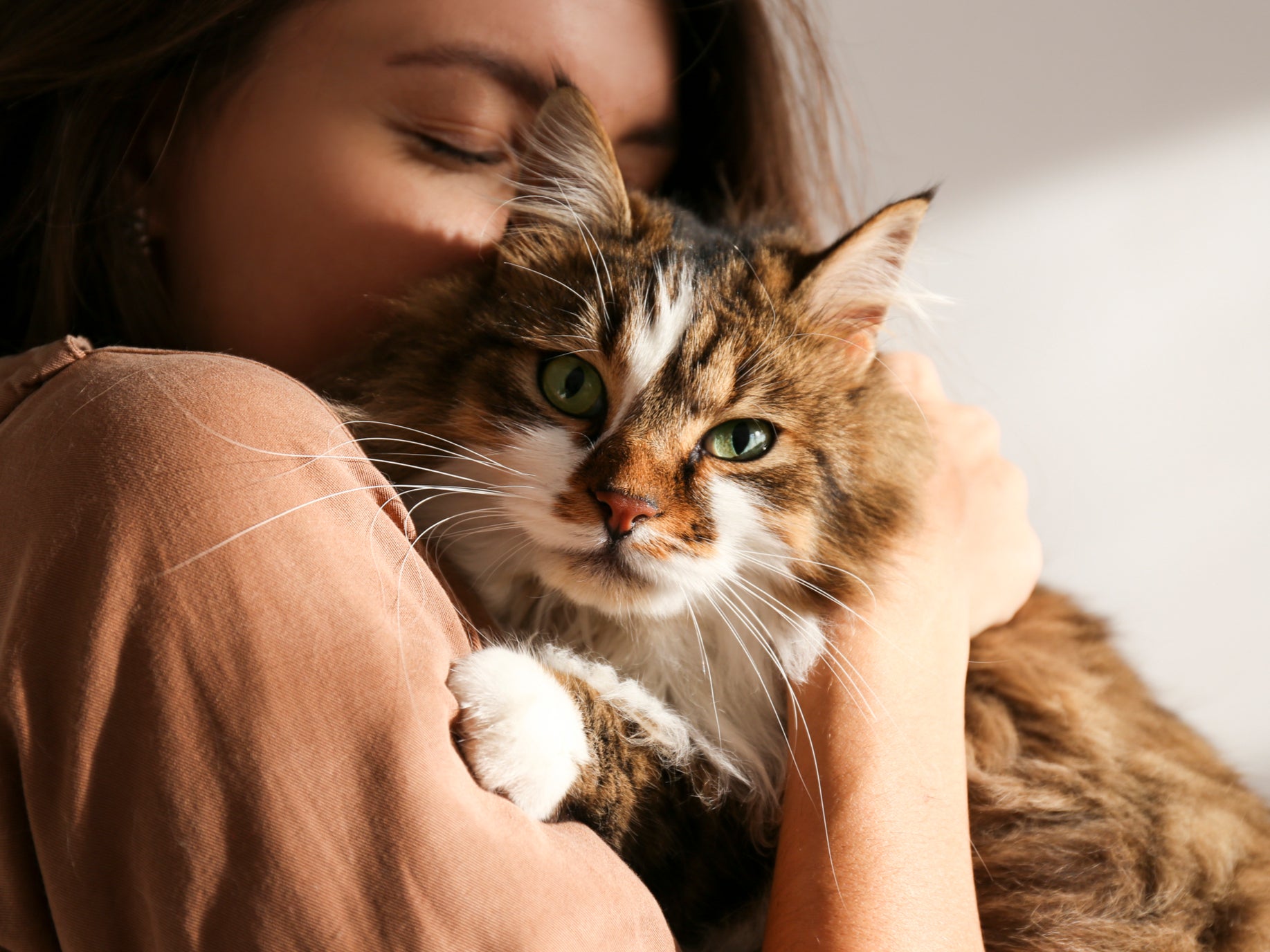 A woman says she’d give up having children if it meant her cat could live forever (Getty Images)