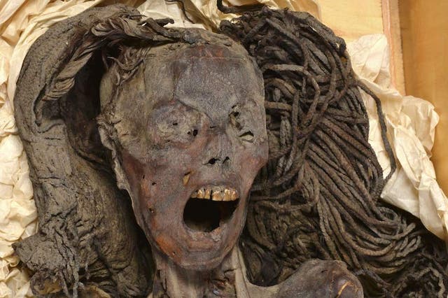 <p>An ancient Egyptian mummy known as the Screaming Woman </p>
