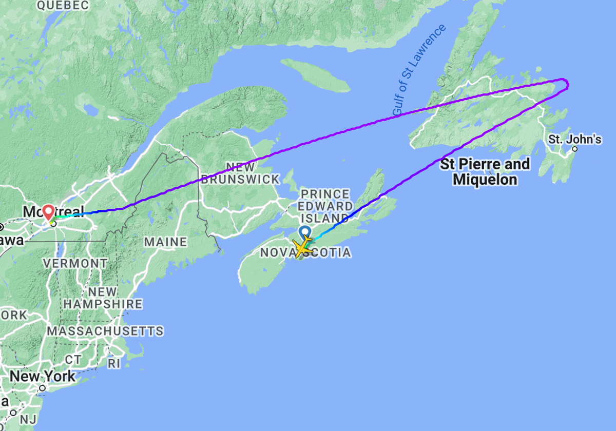 Mass flight cancellations and diversions mar start of peak month for airline passengers