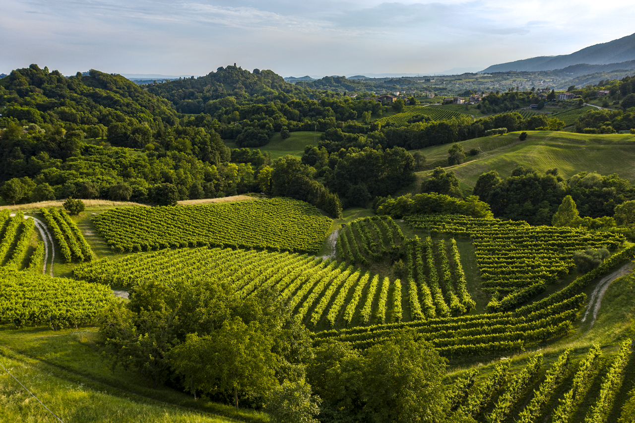 Asolo is located in the heart of the prosecco region of Italy