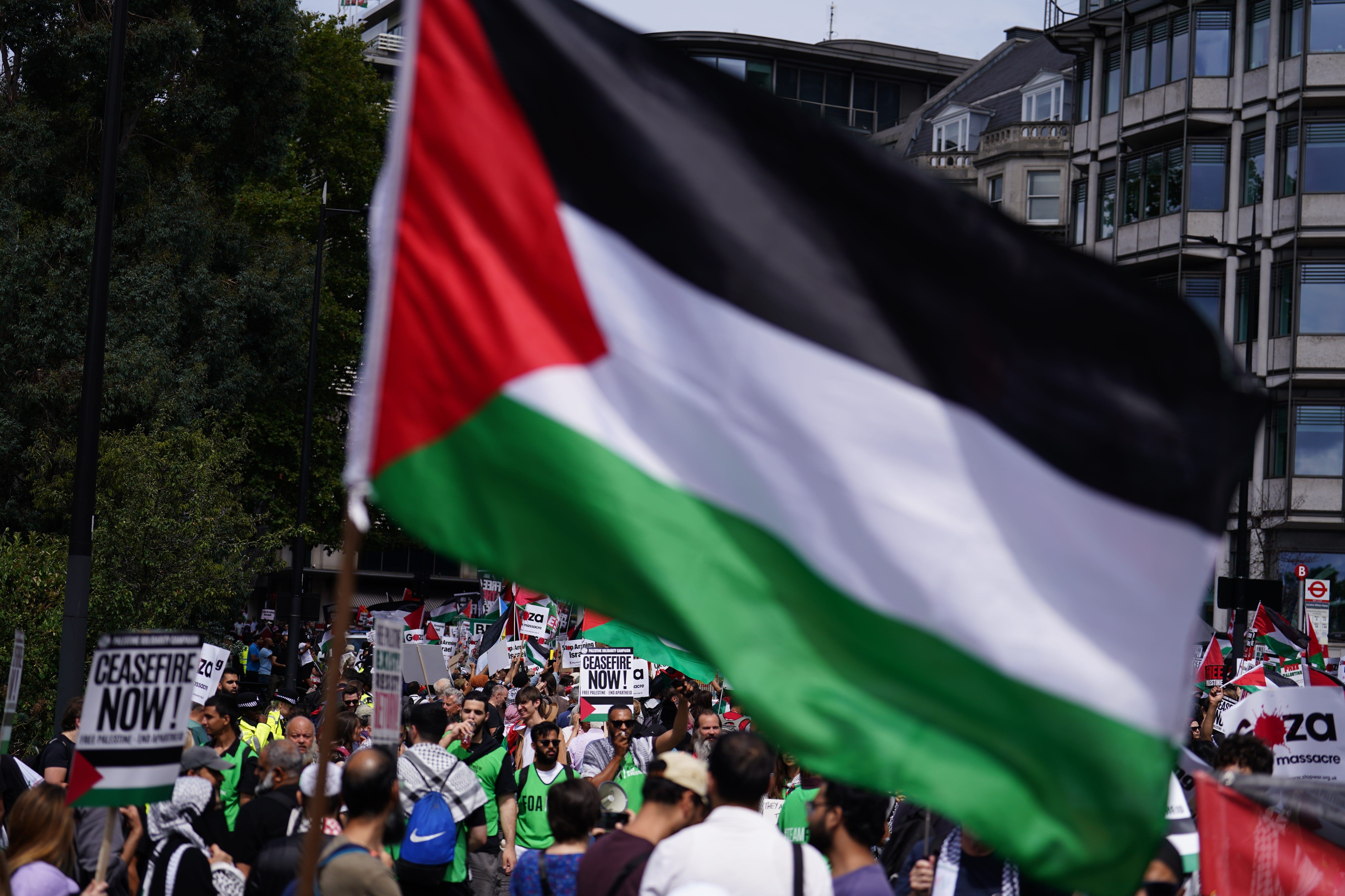 People take part in the National march for Palestine in central London organised by the Palestine Solidarity Campaign (Jordan Pettitt/PA)