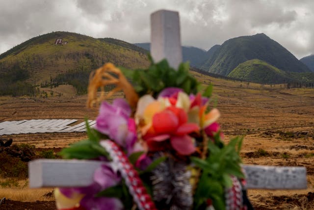 Hawaii Wildfire Anniversary