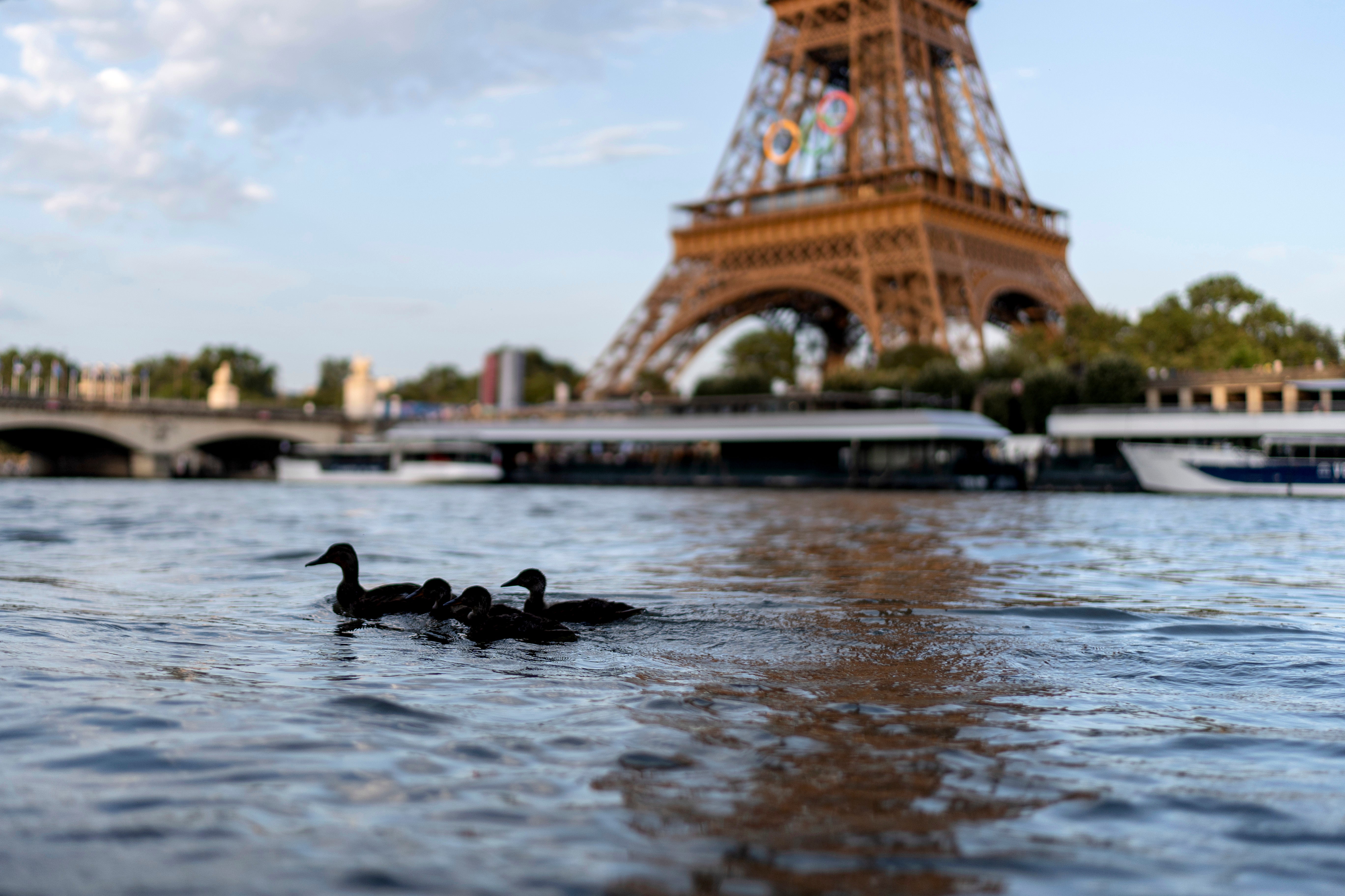 Having a French and British passport is ideal when new travel rules start next month