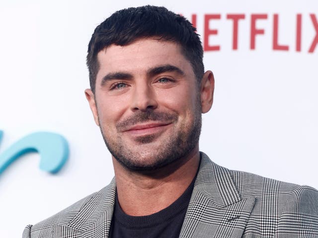 <p>Zac Efron at the Los Angeles premiere of Netflix’s ’A Family Affair on 13 June 2024</p>