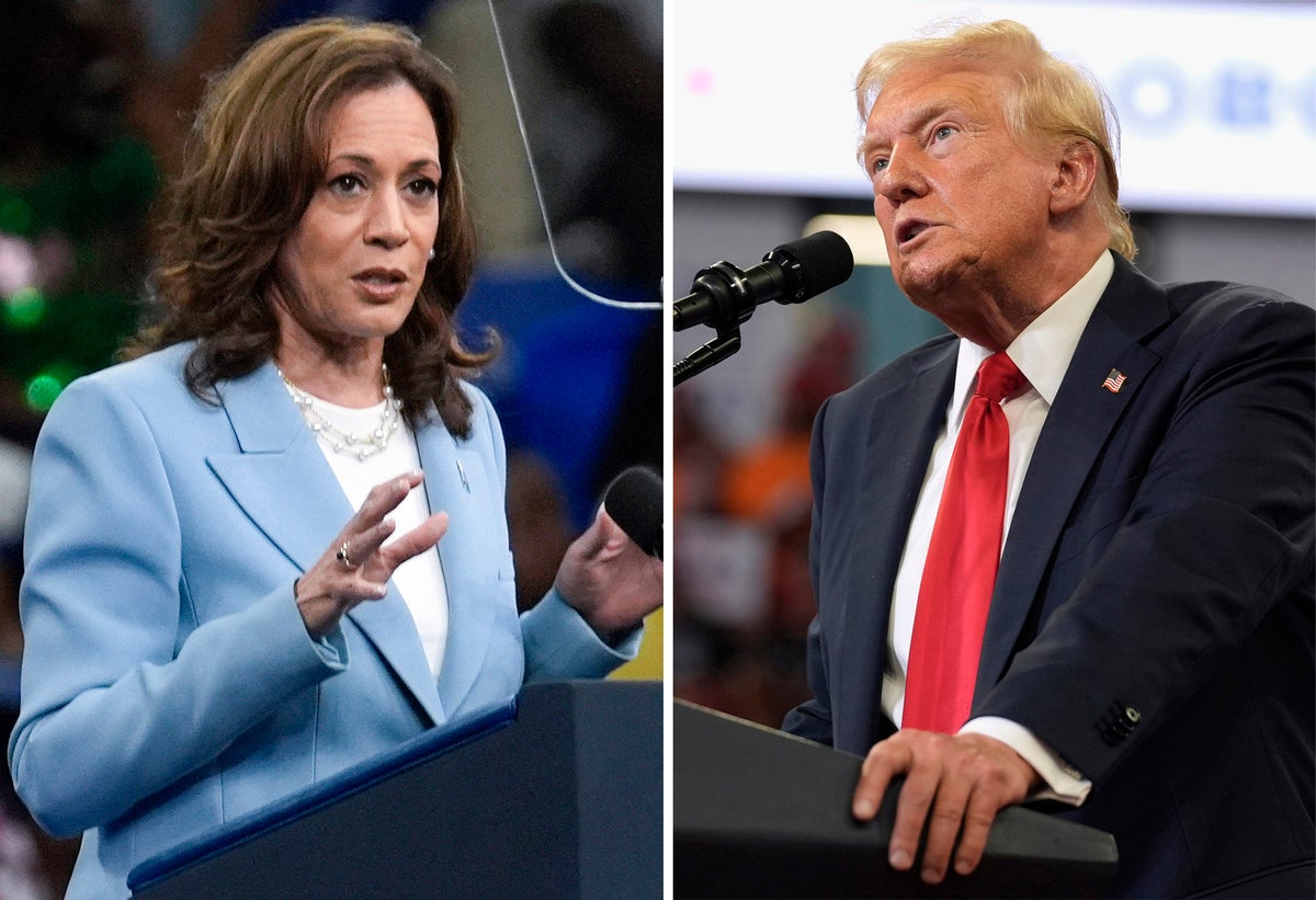 Harris-Trump live: Trump to hold press conference as Harris leads ex-president among likely voters in new poll