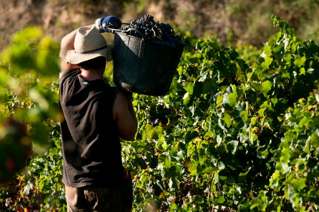 <p>‘Have you ever stopped to think about the people who form the most vital cog in the winemaking machine?’ </p>