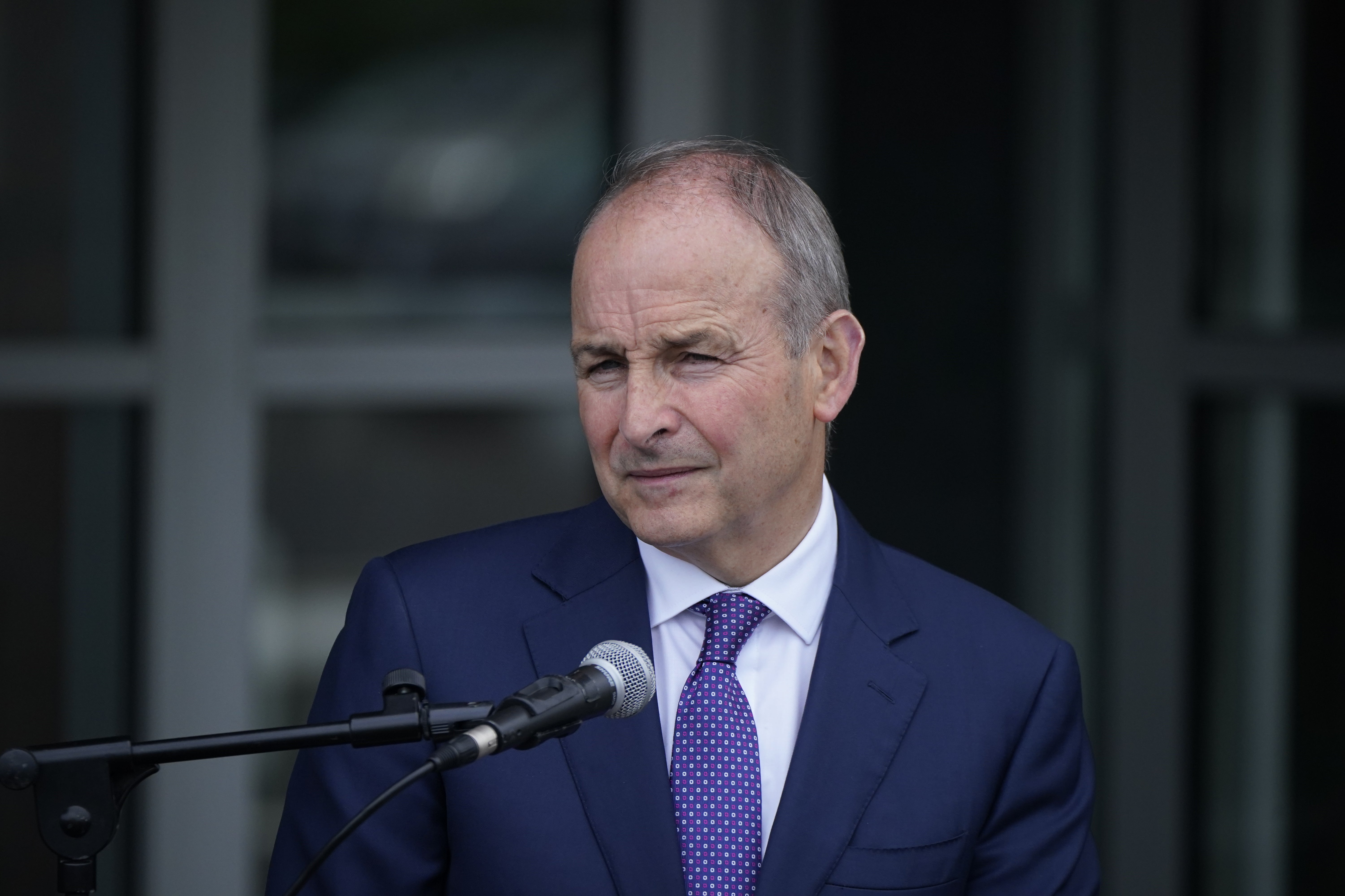 Tanaiste Micheal Martin said travel advice for Irish citizens had been updated (Niall Carson/PA)