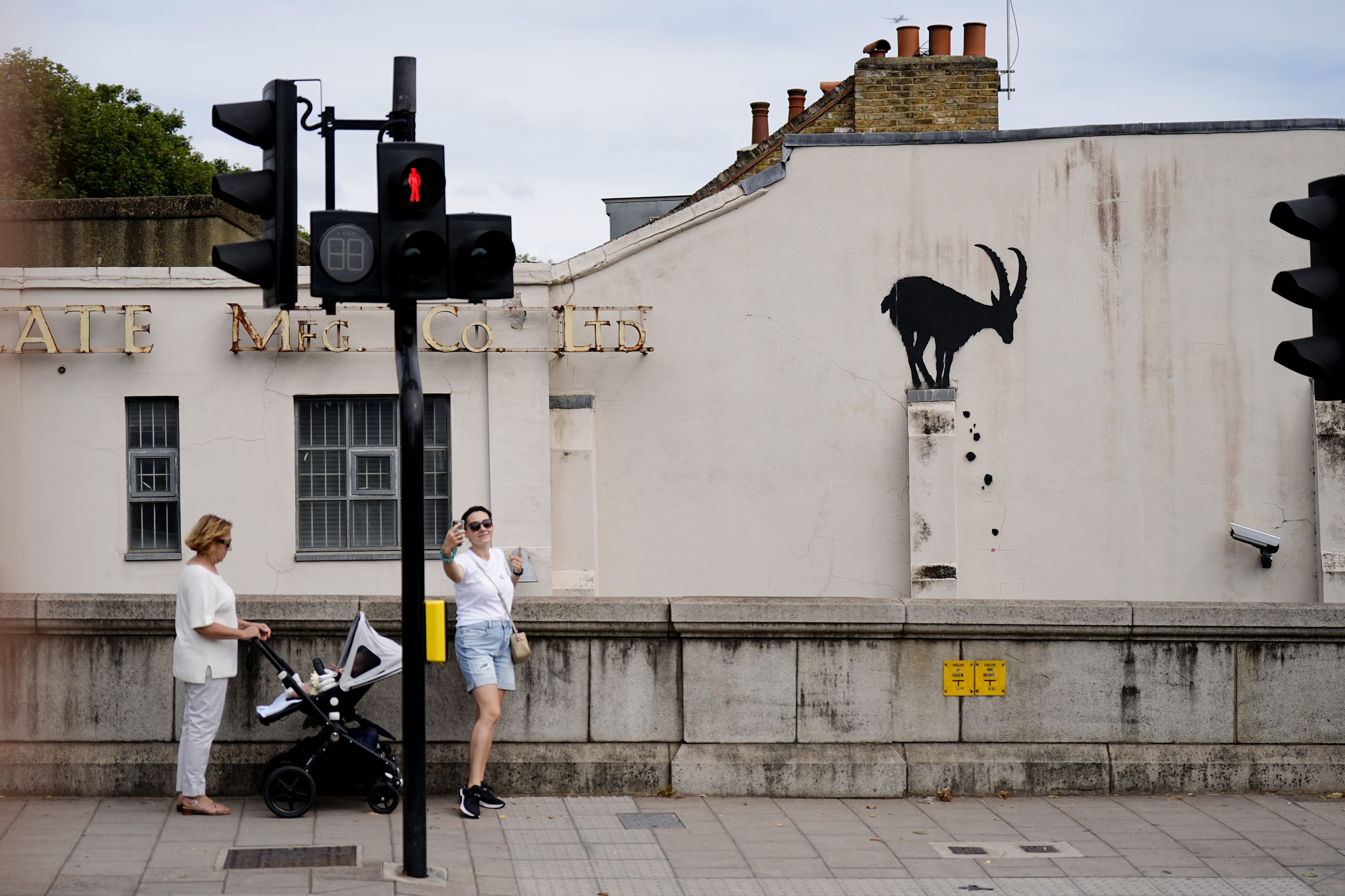 A CCTV camera points at the silhouette of a goat in Richmond