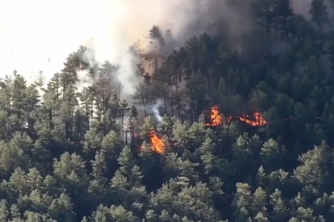 Fire services say the three-acre blaze started when a bird hit a power line and was electrocuted