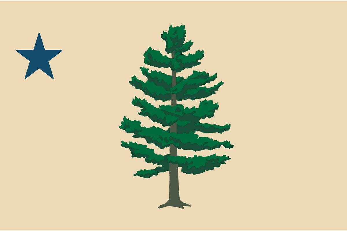 Flag contest: Mainers to vote on adopting a pine tree design paying homage to state's 1st flag