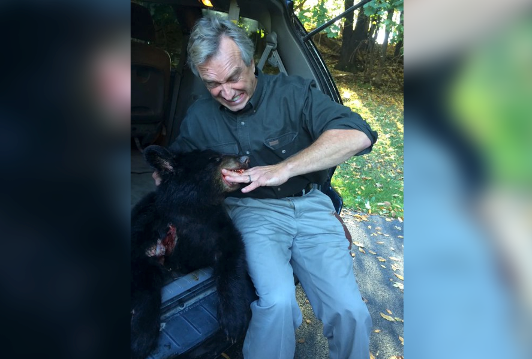 RFK Jr is seen next to the dead bear cub he claims he dumped in Central Park in 2014